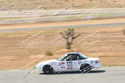 media/May-06-2023-Lucky Dog Racing (Sat) [[8f2256f436]]/Turn 2 10a/